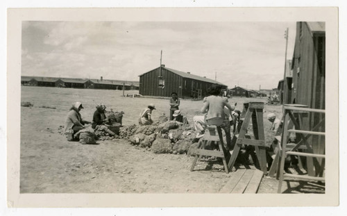 Workers at Heart Mountain