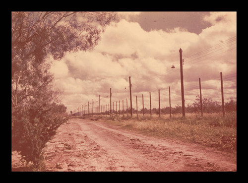 Road bordering the perimeter of Crystal City Department of Justice Internment Camp