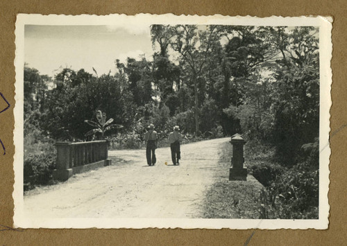 Japanese Peruvian men on a road