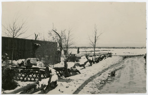 Photograph of the lathe house for the guayule experiments with snow on the ground