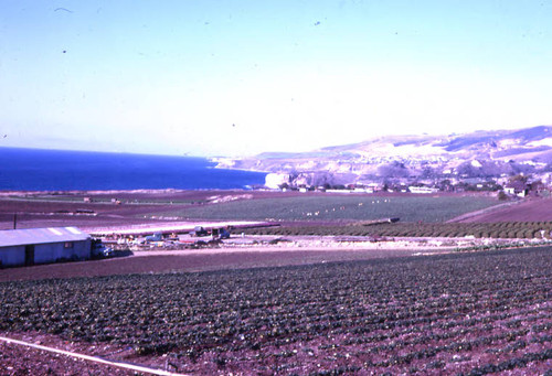 View of the Farm