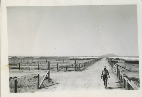 [Daily life], [photograph of a field at Fresno Assembly Center]