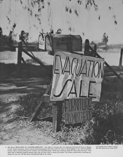 [Signs announcing "evacuation" sale]