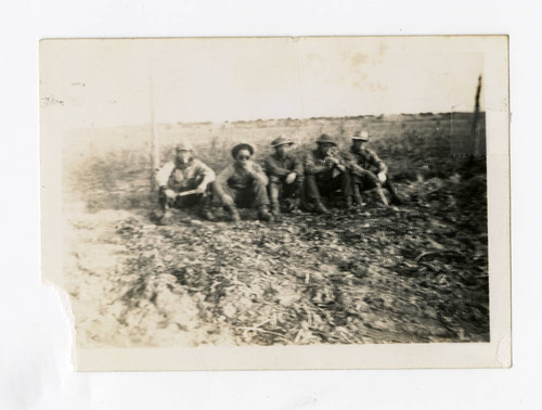 Nisei farm laborers