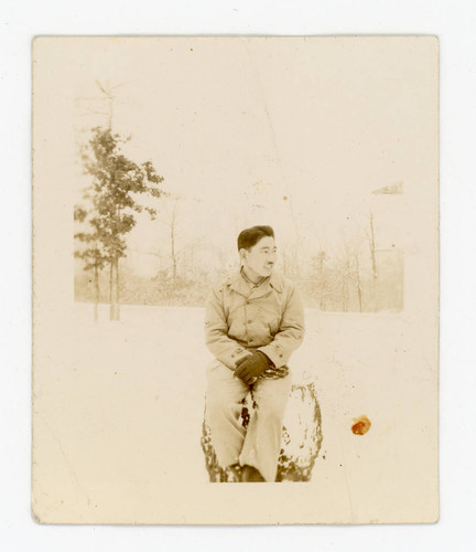 Young man sitting on stump