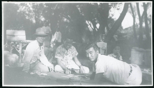 Photograph of people playing cards at a Manzanar hospital staff picnic