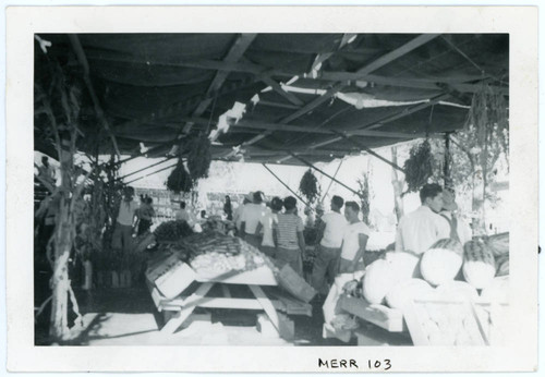 Photograph of people walking through the Manzanar farm exhibit