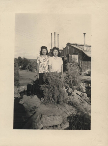 Two young women standing on island in pond at Poston incarceration camp