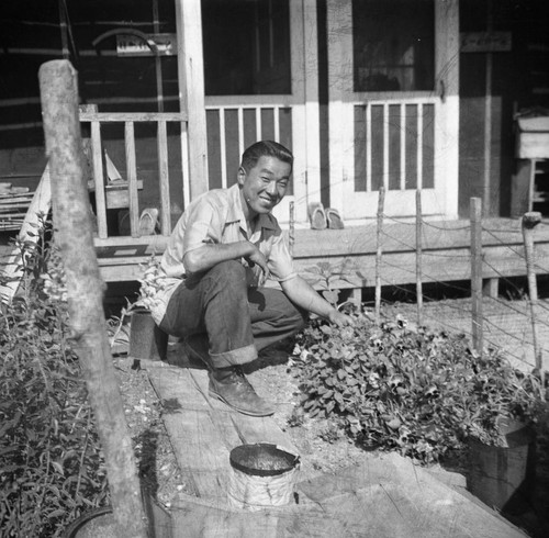 Nisei man in victory garden at Jerome camp