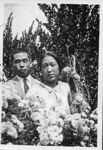 [Couple in apple orchard]