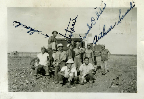 Nisei farm workers