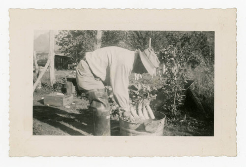 George Yukizumi Takahashi washing daikon