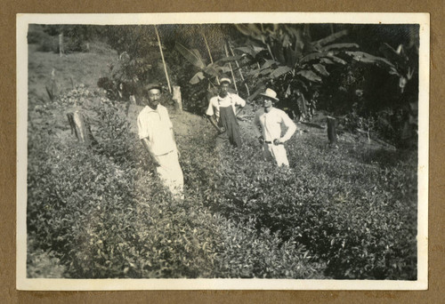 Japanese Peruvian worker