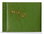 Sumiko Dorothy Tanabe green photo album