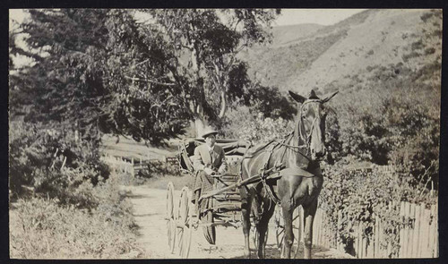 Man in horse-drawn carriage