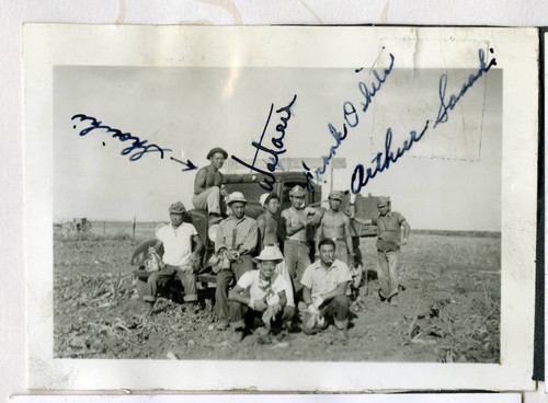 Nisei farm workers