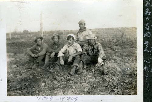 Nisei farm workers