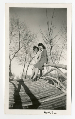 Photograph of two girls on bridge