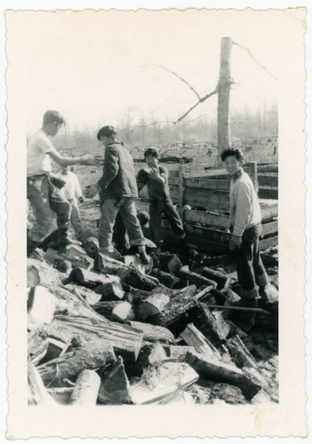 Young men standing on wood piles