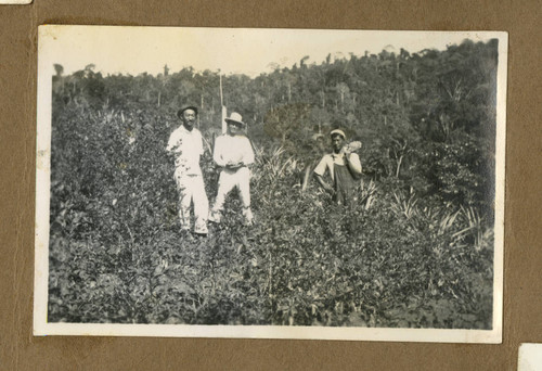 Japanese Peruvian workers