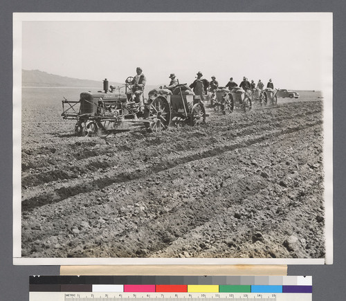 Potato Planting Time at Relocation Center. Using light tractors Japanese residents of the Relocation Center at Tule Lake, Calif., design planting potatoes in several hundred acres of fertile soil reclaimed Old Tule Lake [correct name for the lake). The residents are planting 835 acres in vegetables