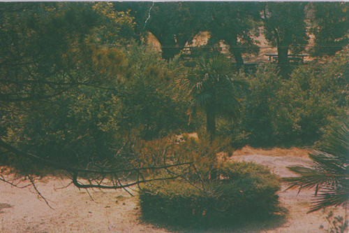 Picnic tables in Temescal Canyon, Calif