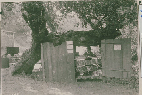 A Boy Scout reading by the camp's makeshift library in Temescal Canyon, Calif