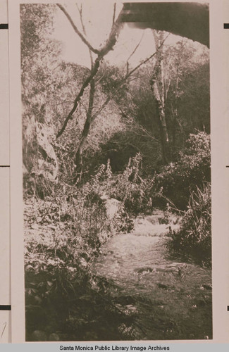 Temescal Creek in Temescal Canyon, Calif