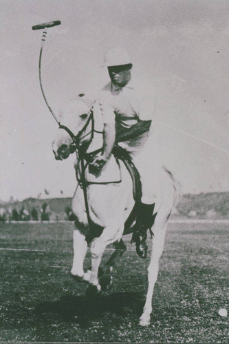 Will Rogers playing polo at his ranch, Rustic Canyon, Calif