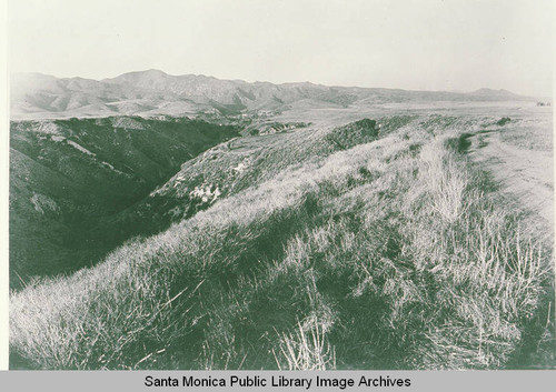 Area around today's Mt. Holyoke Avenue in Temescal Canyon, Calif. before grading began