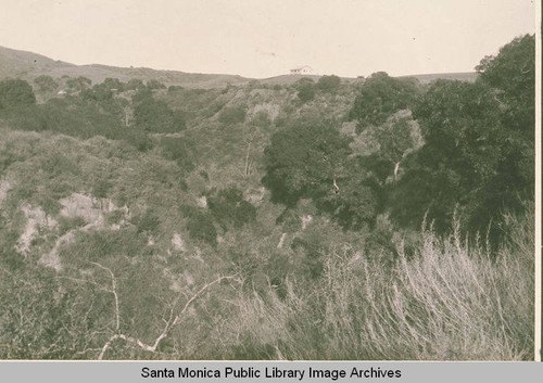 View of a tiny house at the top of Temescal Canyon