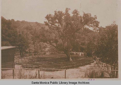 A large oak tree in the amphitheater at Rustic Glen, Assembly Camp, summer of 1922