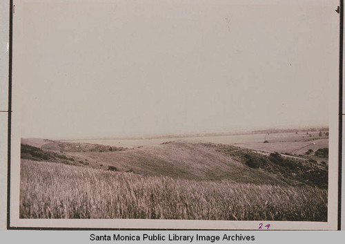 Peace Hill in Pacific Palisades, Calif. looking down from the hill toward Santa Monica over Chautauqua Blvd