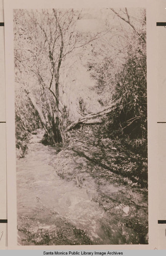 Temescal Creek in Temescal Canyon, Pacific Palisades, Calif