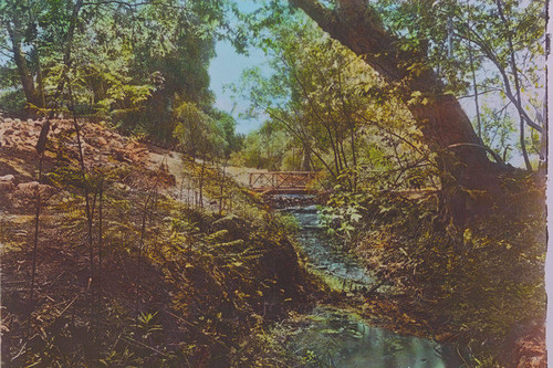 Wood bridge railings over a stream in Temescal Canyon, Calif