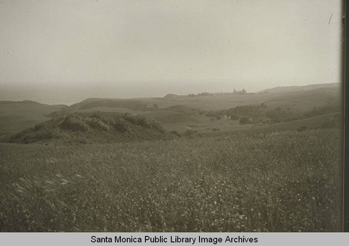 Open fields in Pacific Palisades, Calif