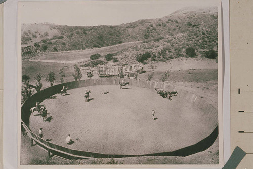 Riders on their horses in the Roping Ring at Will Rogers Ranch in Rustic Canyon, Calif