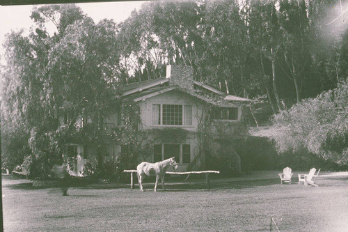 Will Rogers' horse Soap Suds in front of the main house at Will Rogers State Park, Rustic Canyon, Calif