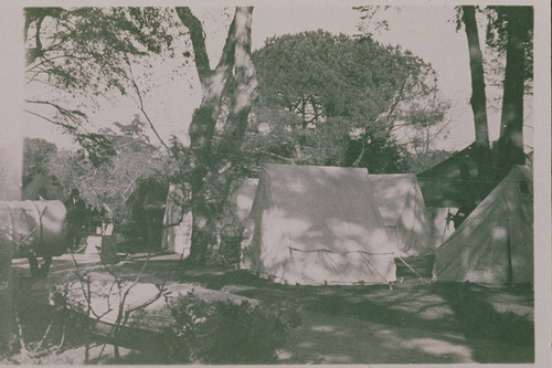 Tents at Assembly Camp in Temescal Canyon, Calif