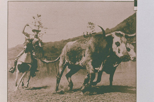Roping at Will Rogers ranch in Rustic Canyon appearing in an article for "Pictorial California Magazine."