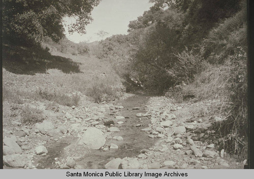 Creek in Los Liones Canyon, Pacific Palisades, Calif