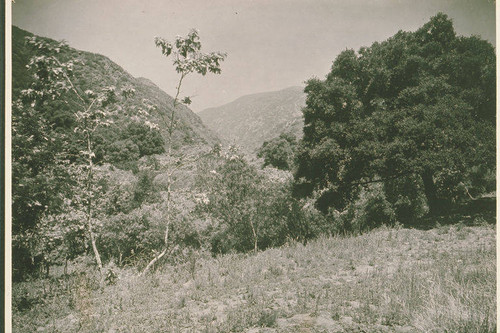 Upper Temescal Canyon, Calif