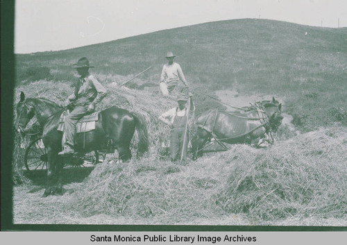 Charles Standiford (left) and another man gathering hay on horseback, Pacific Palisades, Calif