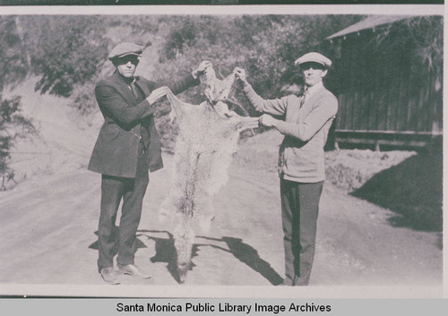 Russ Stadler and another man holding up coyote skin, Temescal Canyon, Calif