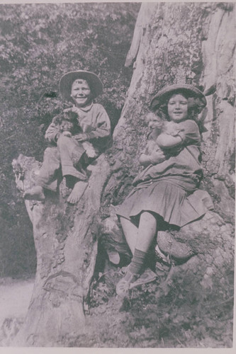 Two children with their dogs in Santa Monica Canyon, Calif