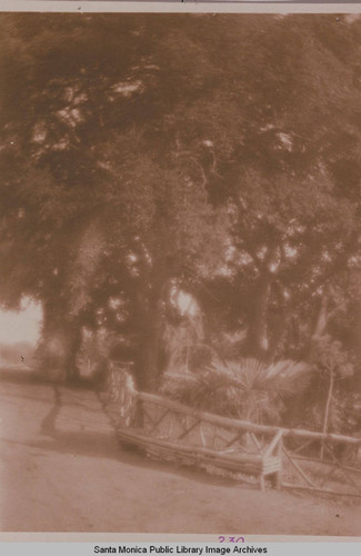 Oak tree and Craftsman railings, Assembly Camp in Temescal Canyon, Calif