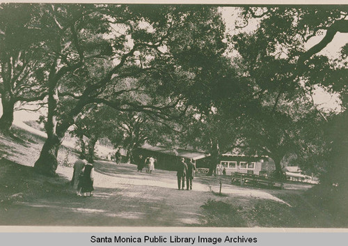 Small groups walk toward the Assembly Camp cafe sheltered by Oak trees in Temescal Canyon, Calif