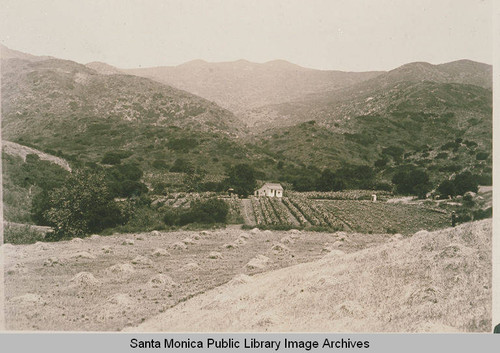 House in Las Pulgas Canyon showing the later site of St. Matthew's Church