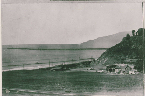 Fields at the bottom of Santa Monica Canyon with the Long Wharf in the background