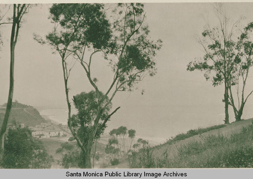 View of Santa Monica Canyon from Huntington Palisades, Calif